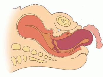 孕妇分娩过程中按肚子,孕妇的分娩过程
