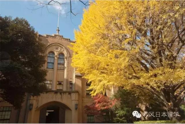 庆应大学相当于中国什么大学,庆应大学相当于国内什么大学