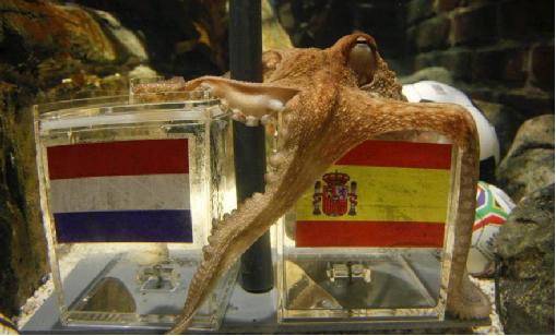 世界杯5大经典比赛,世界杯欧文06