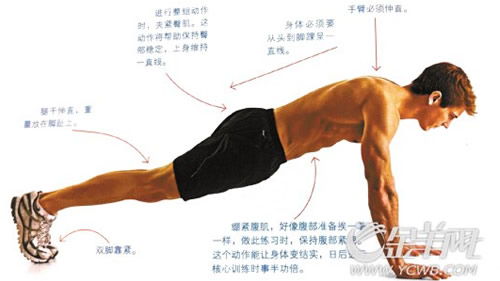 胸肌训练手臂肌肉,上胸肌和下胸肌怎么训练