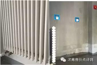 分析师走进蓝石大溪地，帮你收房