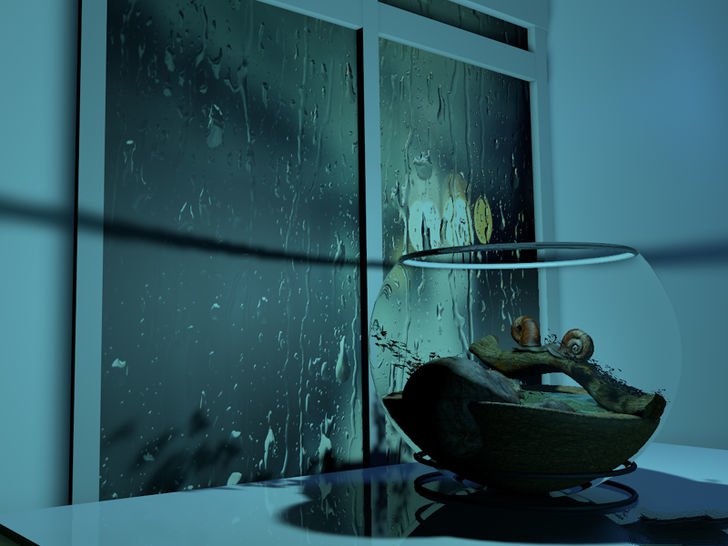 在家里怎么养蜗牛宠物,宠物蜗牛怎么养