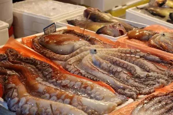 试吃舌尖上的中国系列,舌尖上的试吃团全集