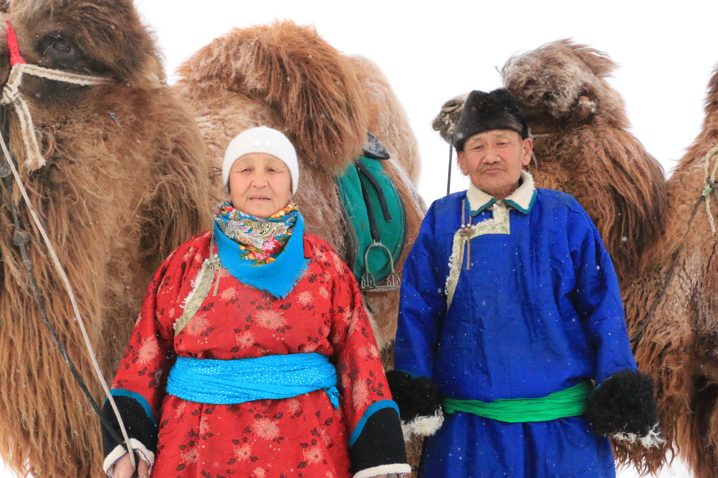 锡盟家庭教育,锡盟最好的教育资源