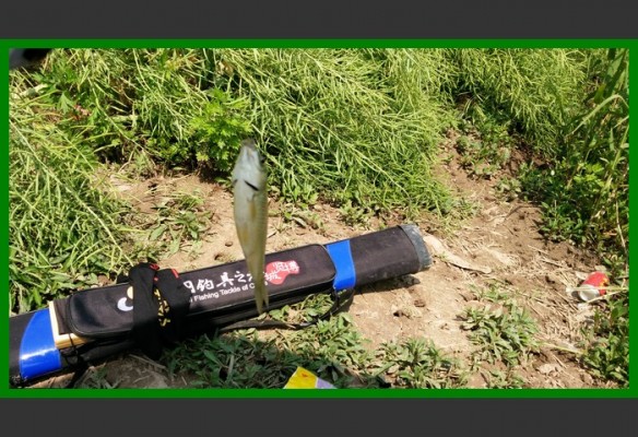 閲庨挀鐑х儰缁濅匠鐮佸ご,鎺ㄨ崘閽撻奔鐑х儰