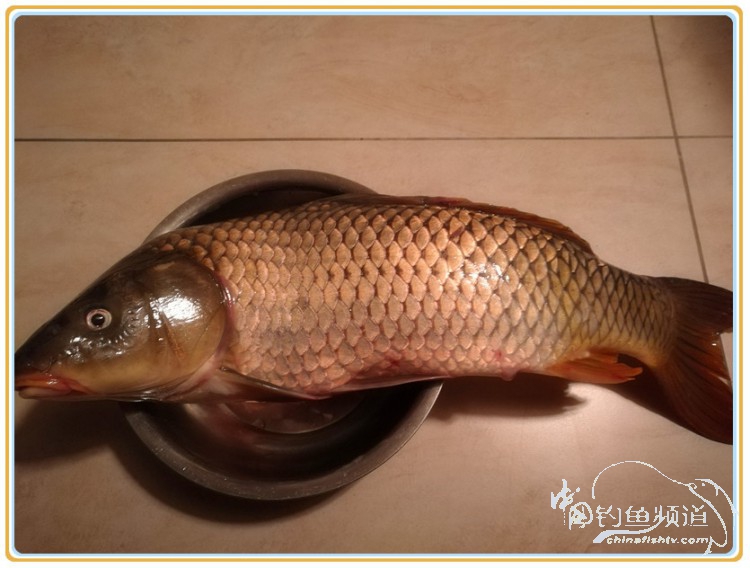 坚守半年中奖1813万,坚守7年终夺冠