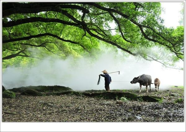 雨中霞浦，遗憾竟然也能如此之美！
