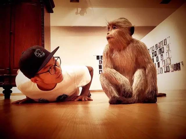 每个职业旅行者都想当旅行界的papi酱，然而。。。