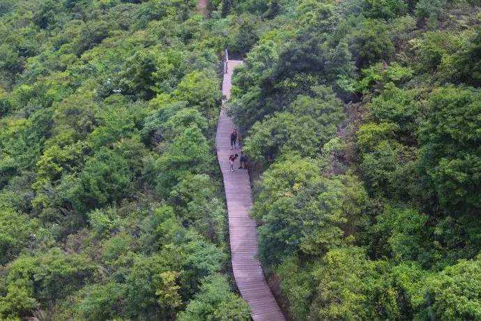 妈妈咪咪嘉年华的欢乐体验和香港郊区的生态怡然之旅