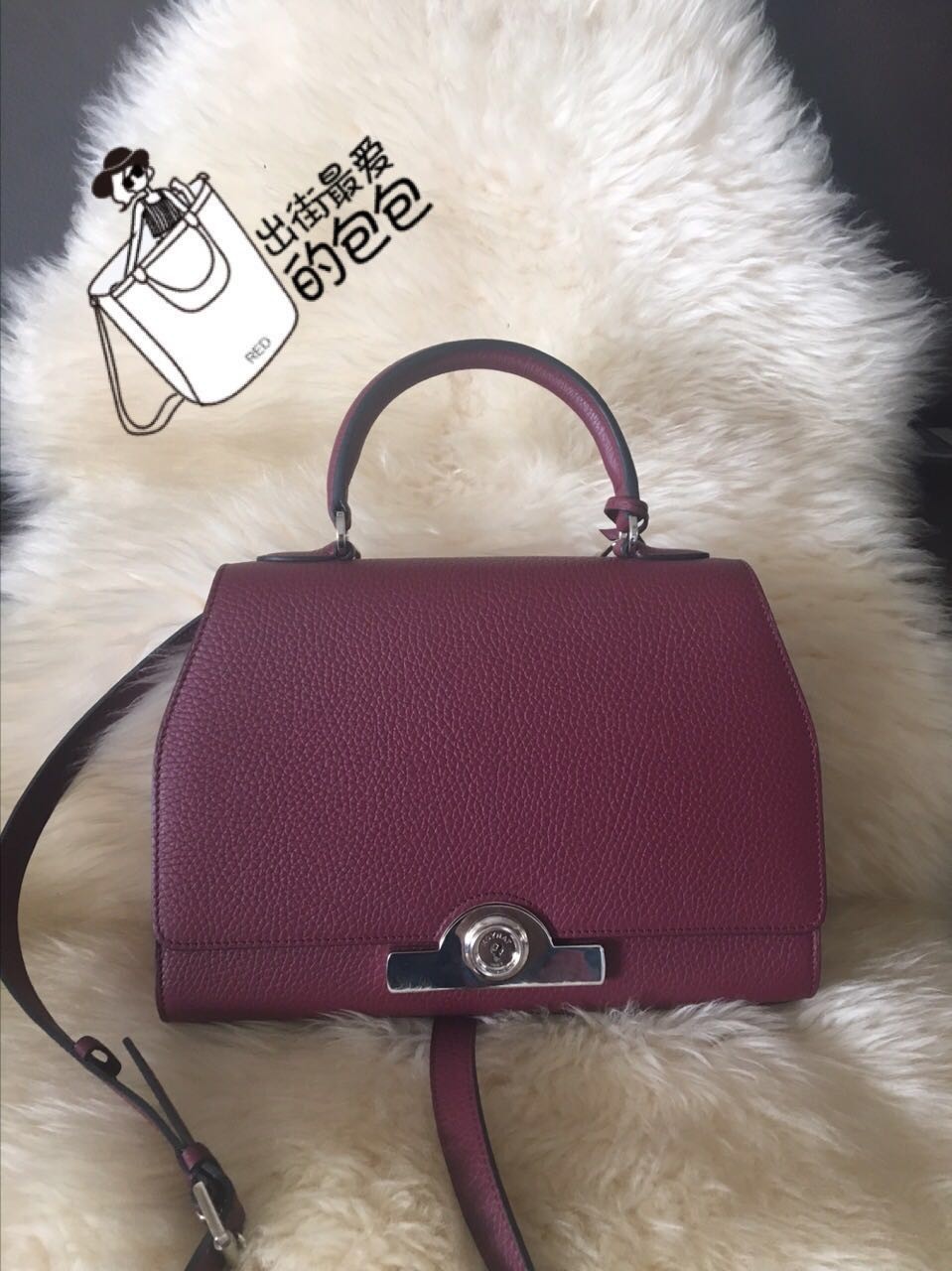 每天想带八百件东西出门,每天都想出去旅行