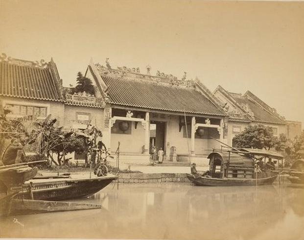 三鞭参茸固本丸功效与作用禁忌,同仁堂固本丸