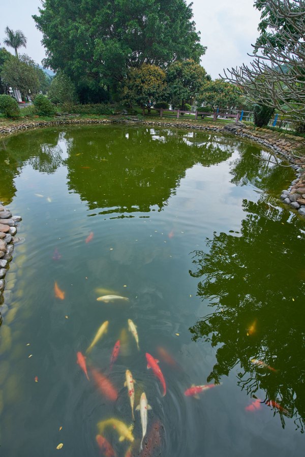 从化温泉之旅,从化文轩苑温泉攻略