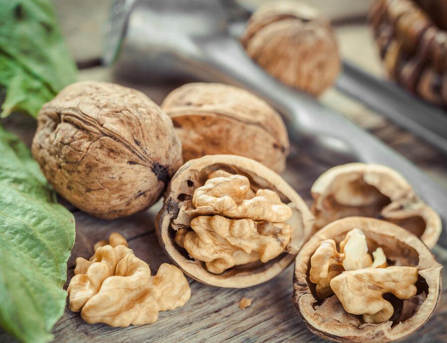 核桃全身都是宝顺口溜,核桃浑身是宝