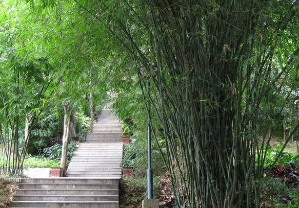 福州夏季避暑胜地排行榜,福州十大避暑地方都有哪里