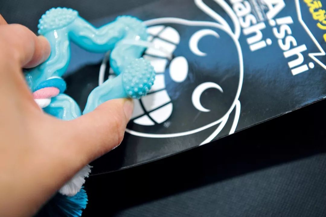 柴犬实测7款玩具：网络上的热门款玩具适合它玩耍吗？