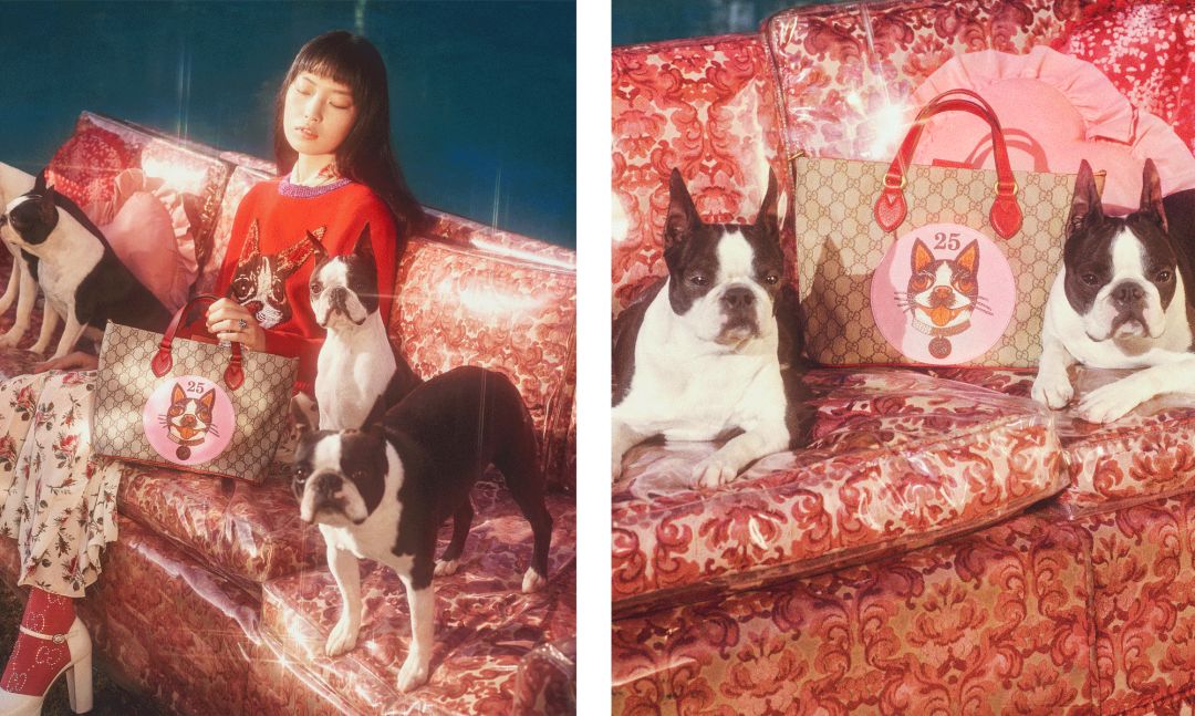 gucci搞怪风,gucci慢动作视频