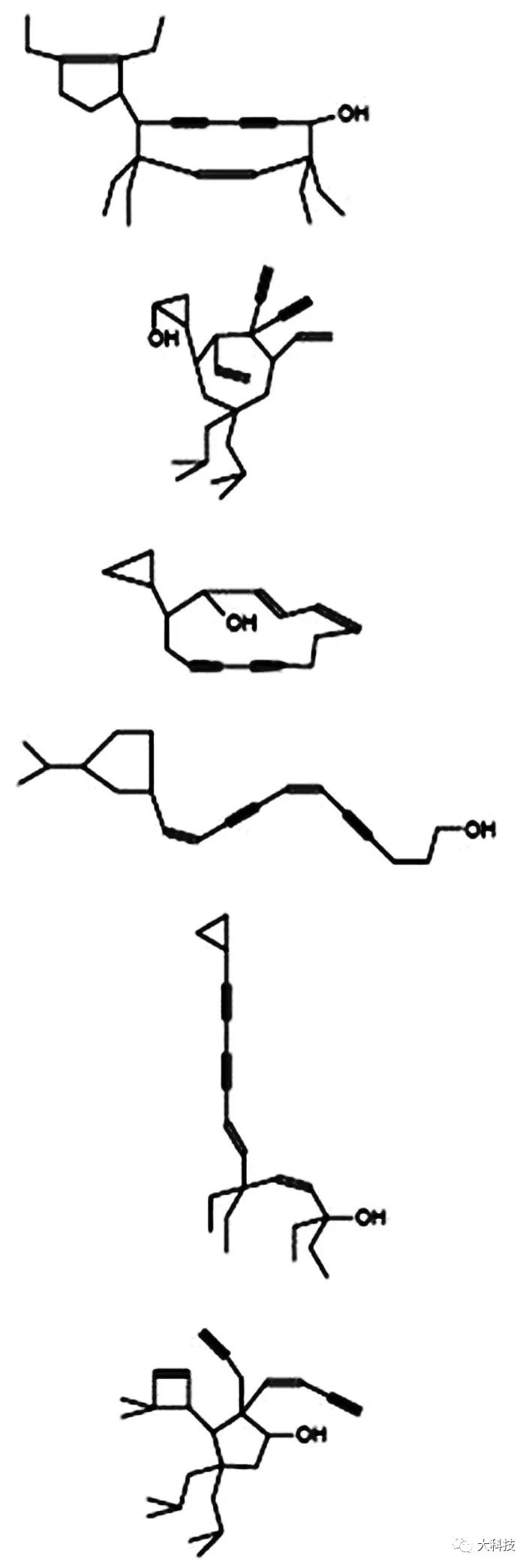 群体的模仿秀,超级模仿秀歌星