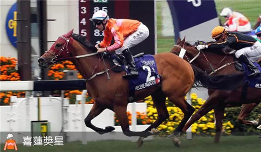 香港三大奖获奖名单,香港三冠奖金是多少