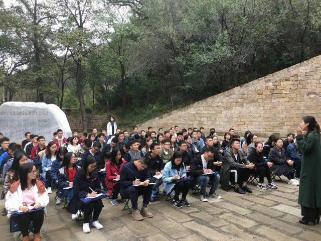 青马是什么马图片,大青马和一般的马