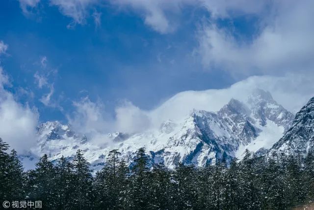 顺风车司机被同行忽悠,顺风车司机同时欺骗多女子