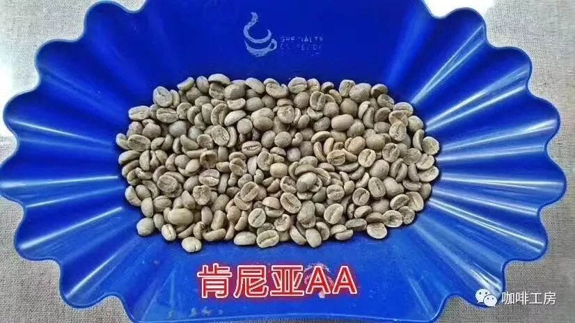 咖啡师入门必看的咖啡知识,精品咖啡学中咖啡的基本知识