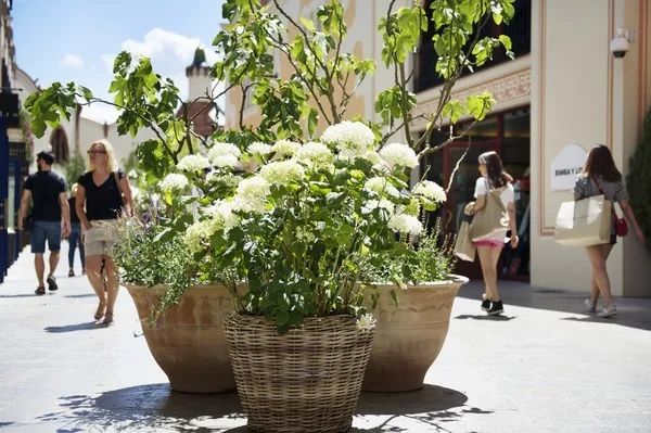 西班牙巴塞罗那旅游全攻略,一月巴塞罗那旅游攻略