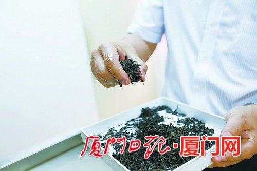品茶闻香茶文化,品味经典香茗品尝千年中华茶韵