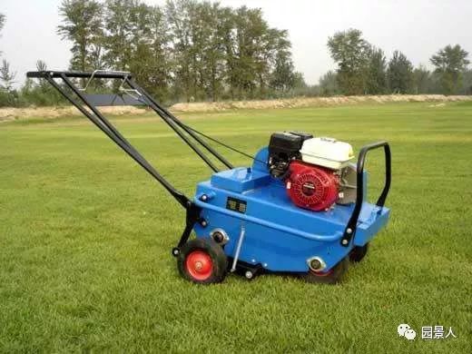 新铺的草坪怎么维护,草坪怎么维护保养