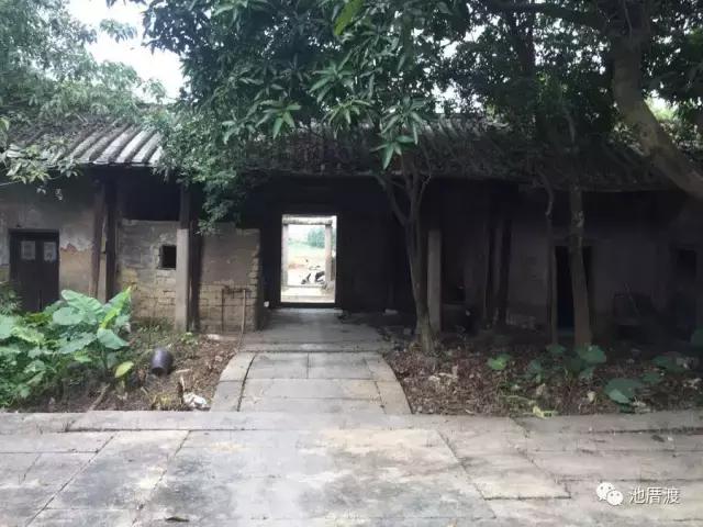 池厝渡,池厝渡抬龙头