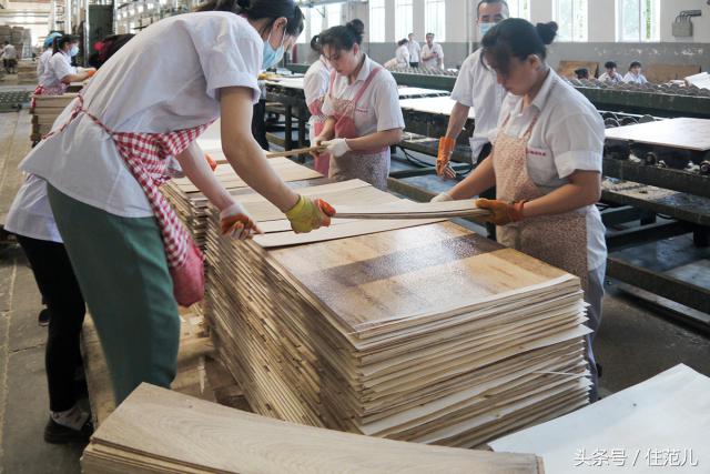 实木地板比较经济实惠,实木地板哪个价廉物美