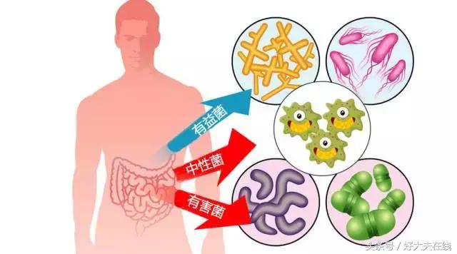 超市那么多酸奶，到底哪种最好？