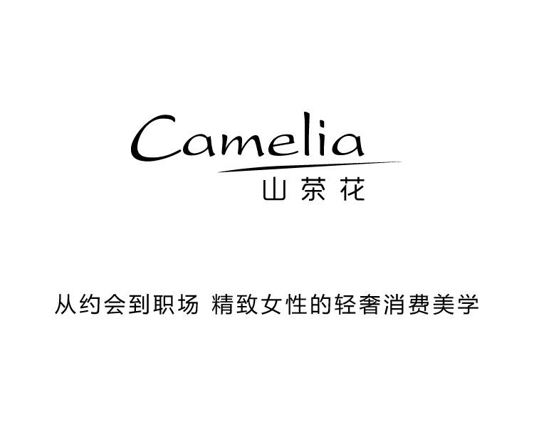 到底哪款美容仪最适合买,十大最好用的美容仪