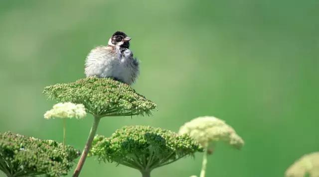 大学生村淘合伙人创业,在农村创业团队