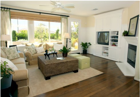 小亮的蟑螂消灭方法,硼砂消灭蟑螂最有效方法