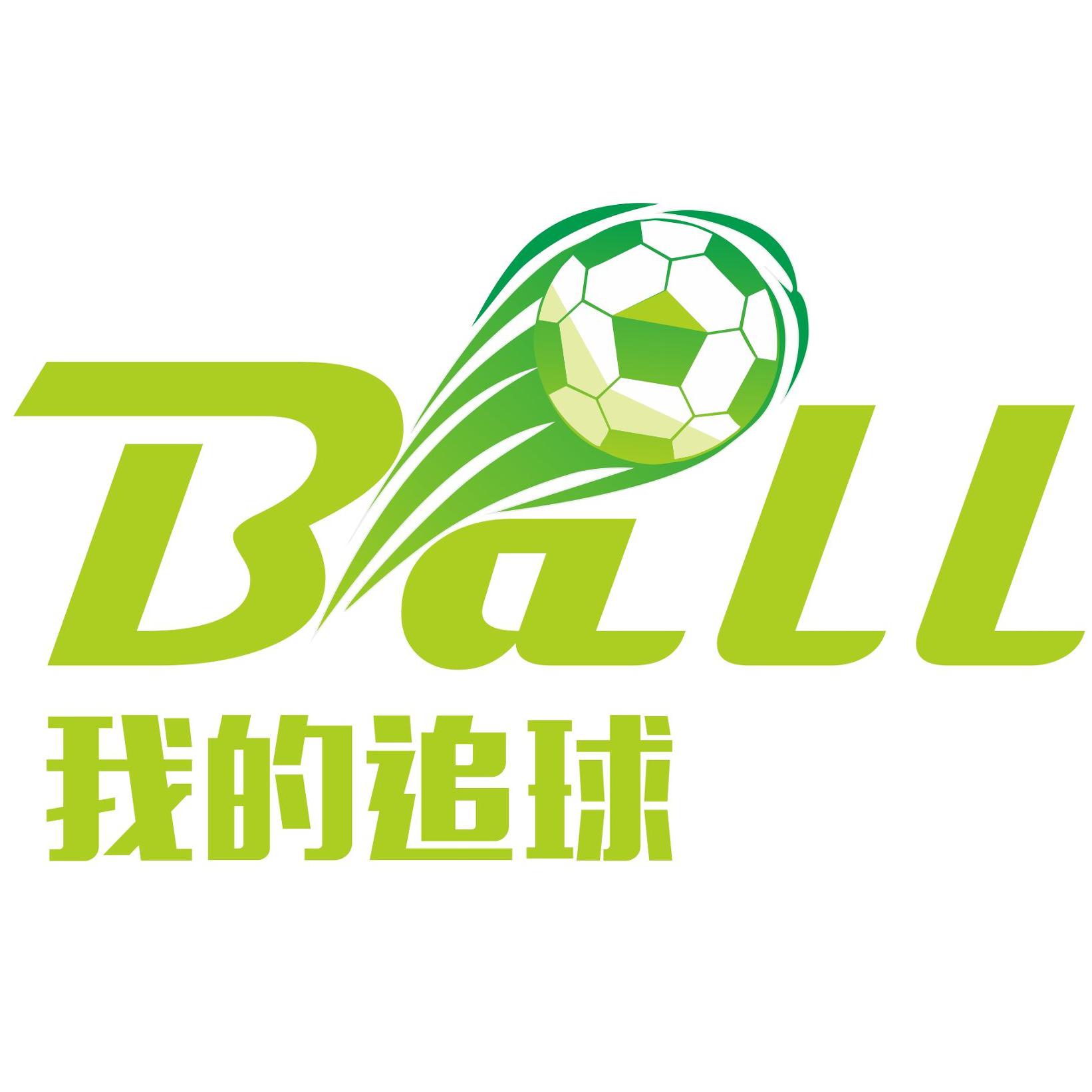 中乙淄博魔鬼主场,魔鬼主场人海浪潮