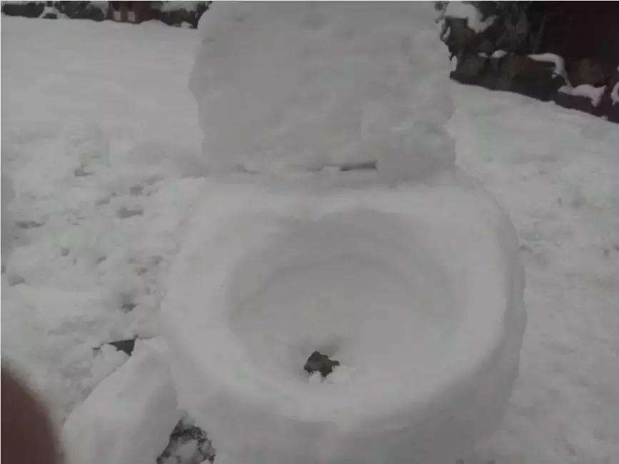 台铃车子和雅迪车子到底哪个更好,台铃萌雪2022新款