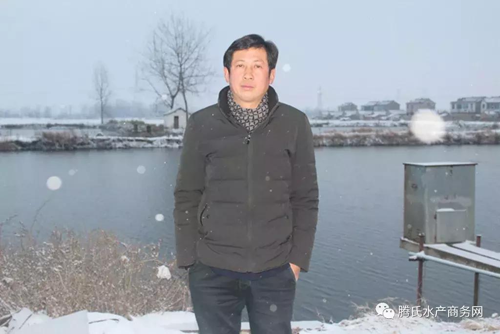 养鱼致富之路及方法,养鱼技术与养鱼视频