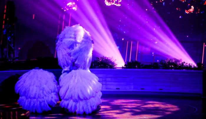 莲二爷美轮环邮——11姑娘的皇家海洋量子号公海飘荡日志