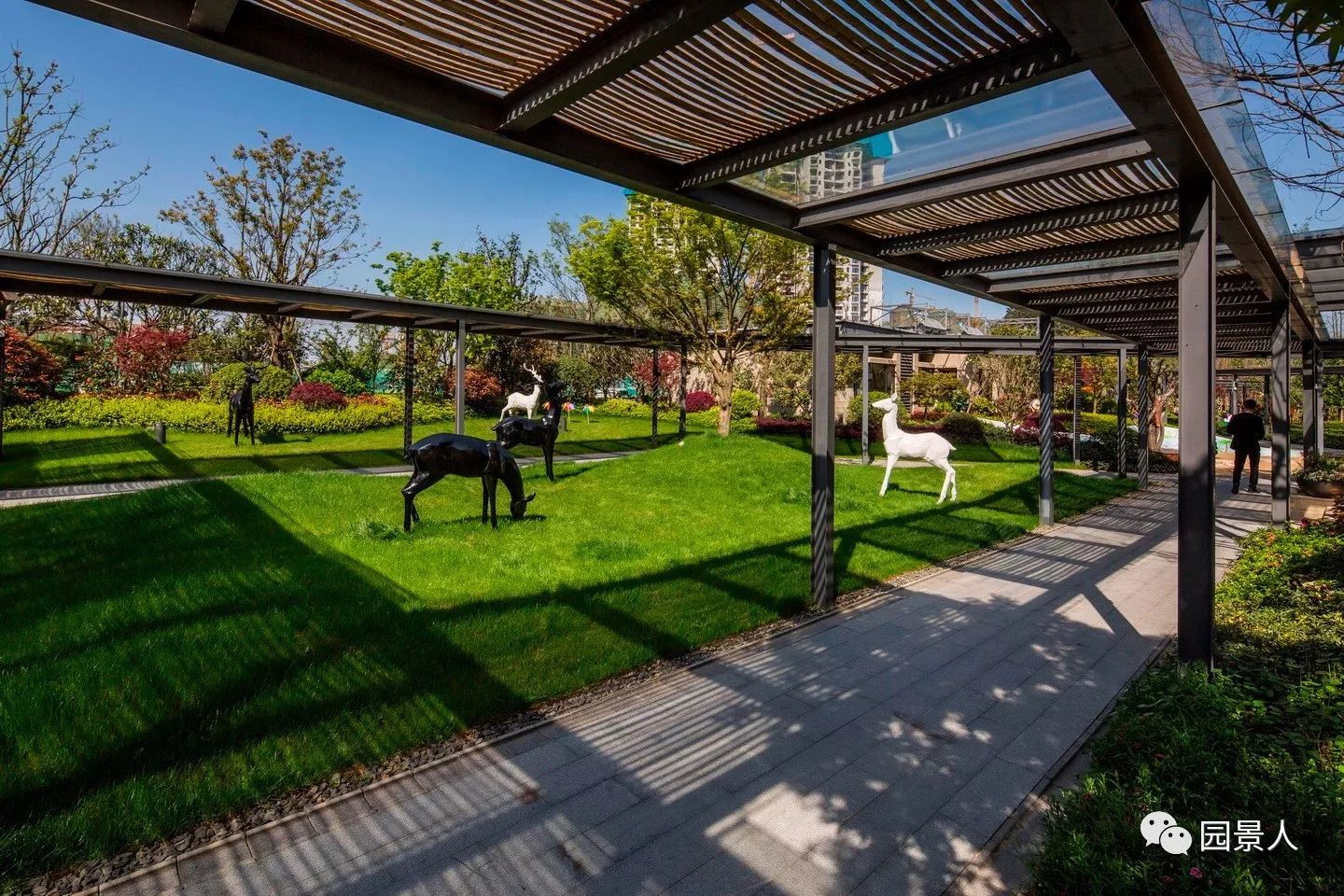 阳光草地美景,福州阳光草坪