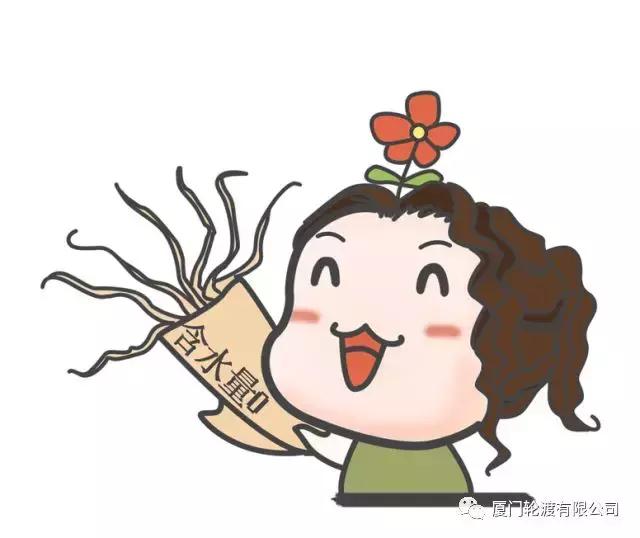 春节鼓浪屿船票提前预订 (春节鼓浪屿船票免费吗)