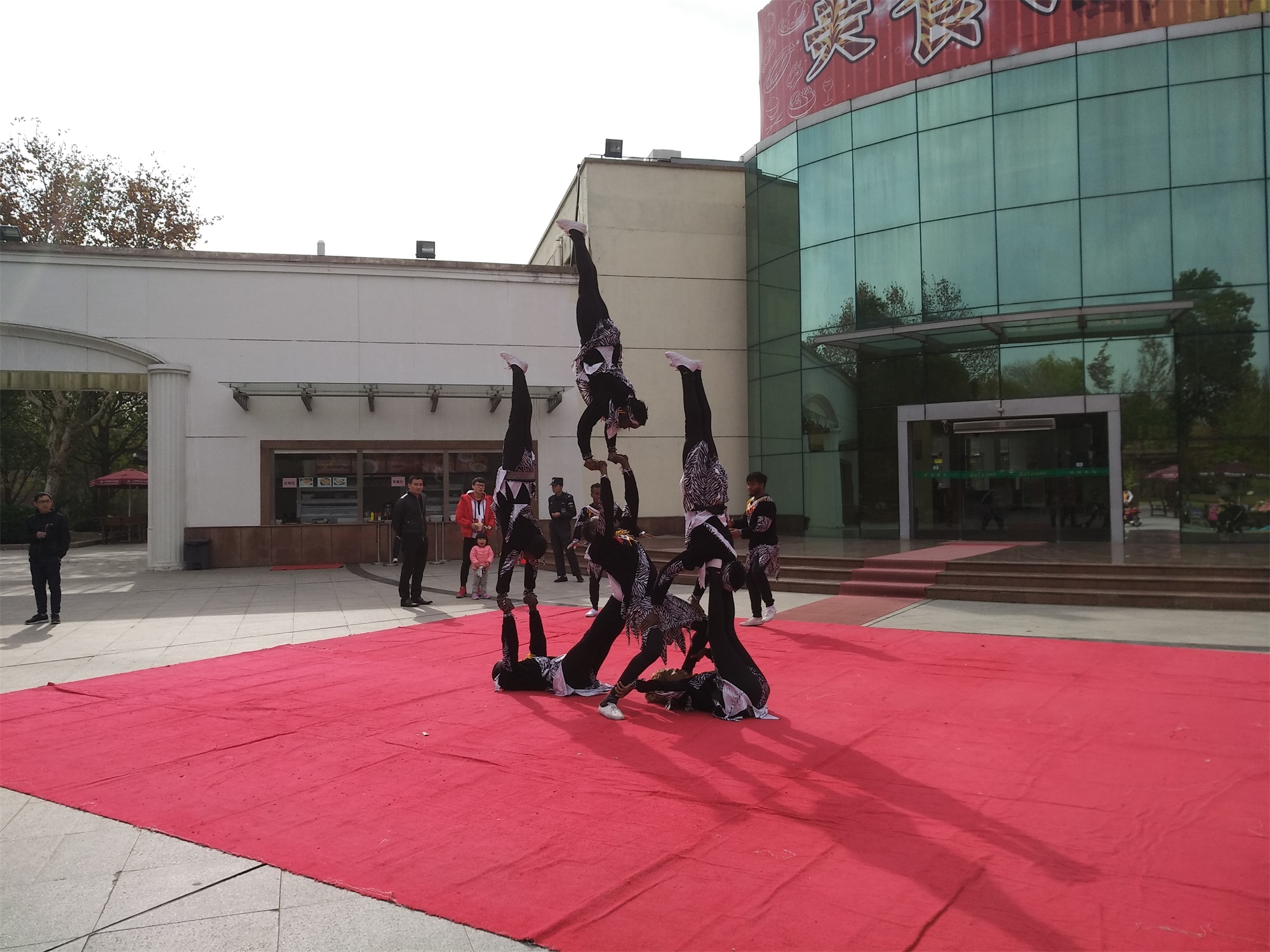 上海野生动物园一日游大概多久,上海野生动物园一日游日记三年级