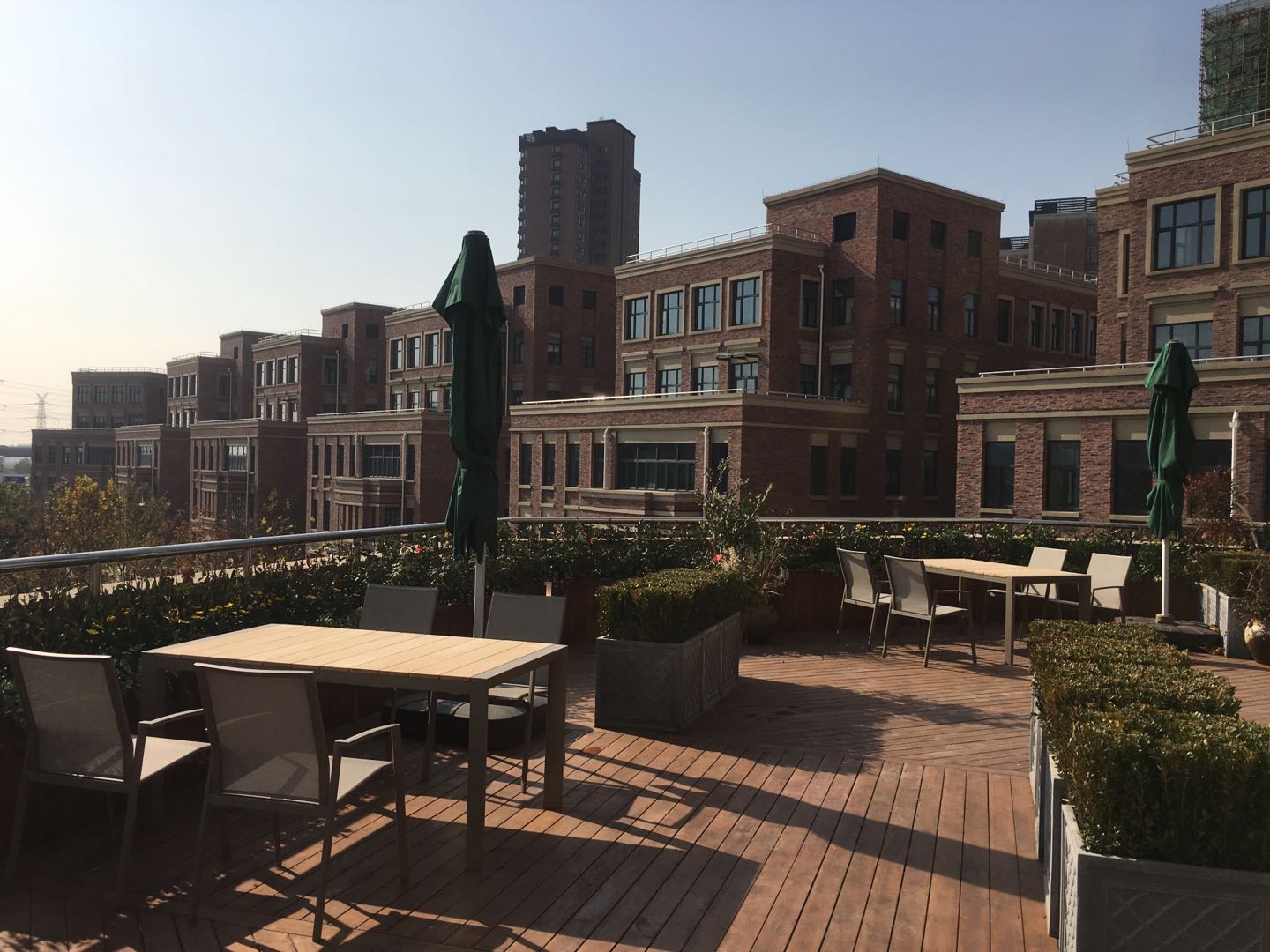 绱厜鐗╄仈绉戞妧,绱厜鐗╄仈涓婃捣