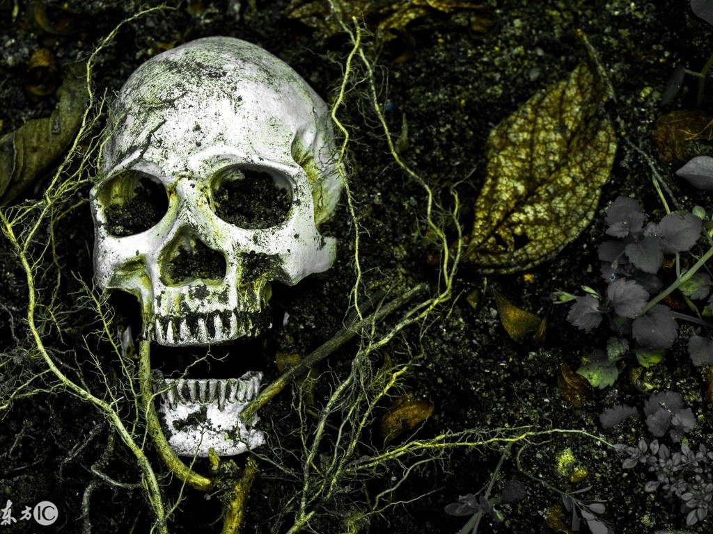 百慕大三角之谜最吓人的视频,百慕大三角飞机消失35年之谜实拍