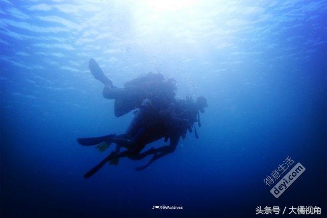 奥臻岛有什么吃的,奥臻岛一价全包多少钱