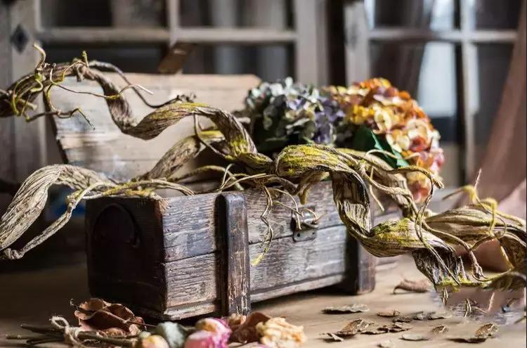 给干花讲故事,这家淘宝店畅销三年,坐拥8万忠实粉丝,年销百万