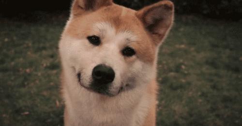 时髦广场舞简单易学,时髦广场舞