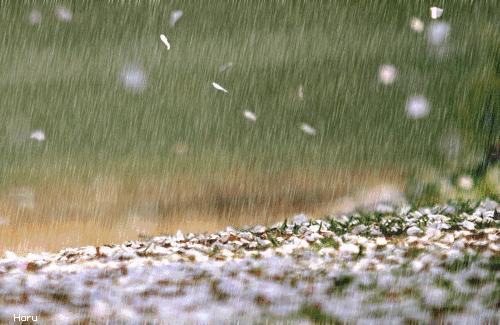 「词风雅韵」风拂青草｜柔柔细语总关情