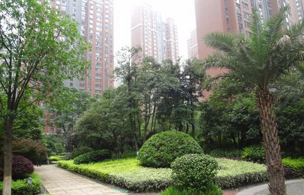 好房集聚区,好房聚焦