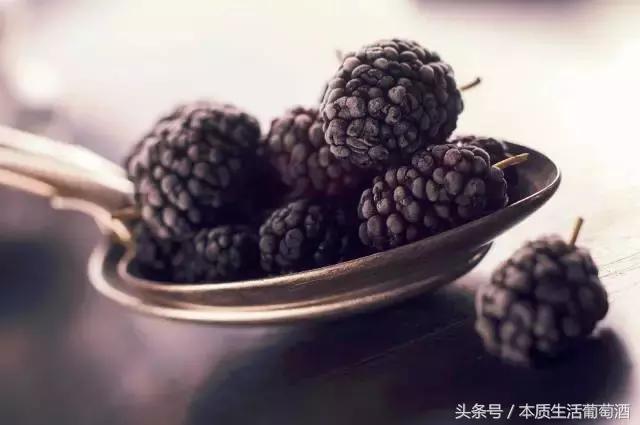 葡萄酒里面有哪些水果,喝葡萄酒前一定要知道的那些事