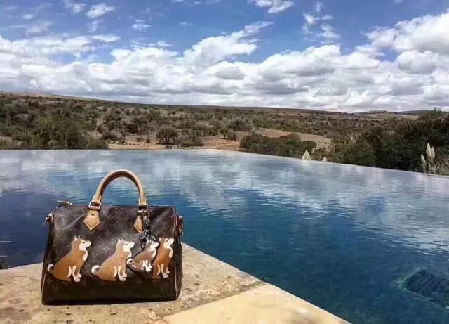 看了产品连连叫好,一看到大牌爆款就眼花缭乱